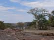 z Epupa Falls -  baobabs (5)